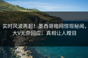实时风波再起！墨西哥暗网惊现秘闻，大V无奈回应：真相让人瞠目