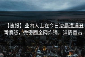 【速报】业内人士在今日凌晨遭遇丑闻愤怒，微密圈全网炸锅，详情直击
