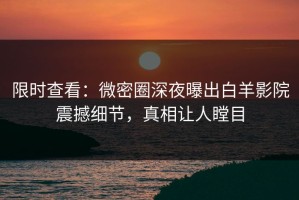 限时查看：微密圈深夜曝出白羊影院震撼细节，真相让人瞠目