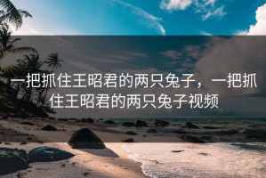 一把抓住王昭君的两只兔子，一把抓住王昭君的两只兔子视频