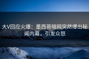 大V回应火爆：墨西哥暗网突然爆出秘闻内幕，引发众怒