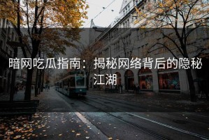 暗网吃瓜指南：揭秘网络背后的隐秘江湖