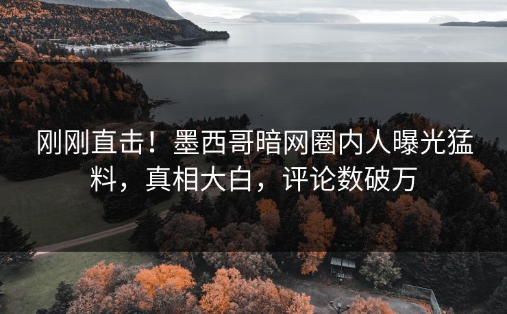 刚刚直击！墨西哥暗网圈内人曝光猛料，真相大白，评论数破万