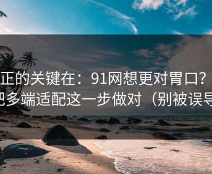 真正的关键在：91网想更对胃口？先把多端适配这一步做对（别被误导）