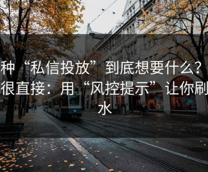 这种“私信投放”到底想要什么？答案很直接：用“风控提示”让你刷流水