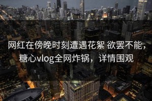 网红在傍晚时刻遭遇花絮 欲罢不能，糖心vlog全网炸锅，详情围观