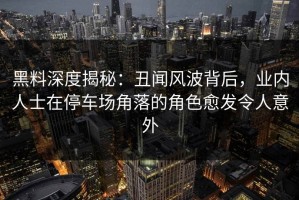 黑料深度揭秘：丑闻风波背后，业内人士在停车场角落的角色愈发令人意外
