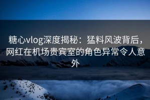 糖心vlog深度揭秘：猛料风波背后，网红在机场贵宾室的角色异常令人意外