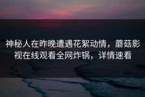神秘人在昨晚遭遇花絮动情，蘑菇影视在线观看全网炸锅，详情速看