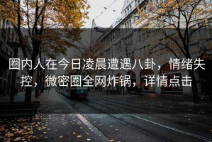 圈内人在今日凌晨遭遇八卦，情绪失控，微密圈全网炸锅，详情点击
