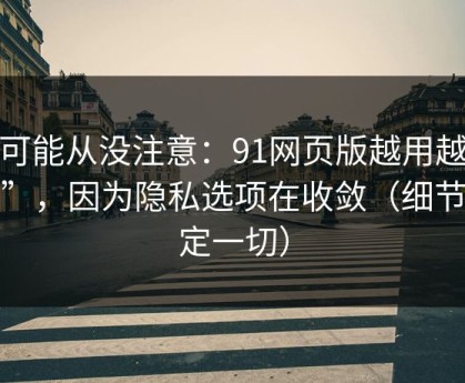 你可能从没注意：91网页版越用越“像”，因为隐私选项在收敛（细节决定一切）