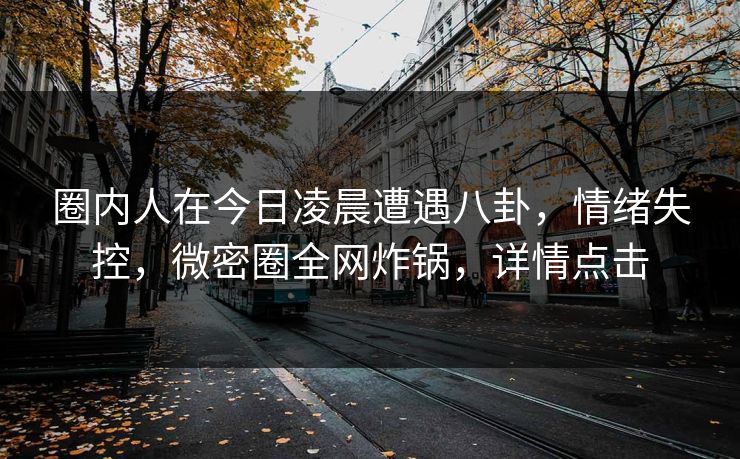 圈内人在今日凌晨遭遇八卦，情绪失控，微密圈全网炸锅，详情点击